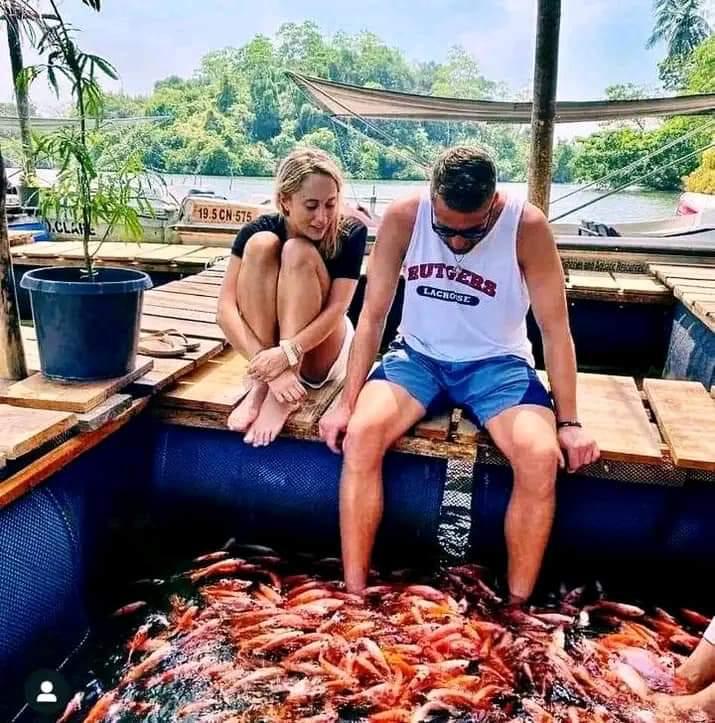 Fish therapy experience