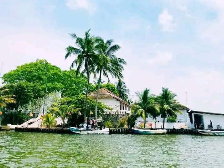 Madu River Safari & Bentota Day Tour