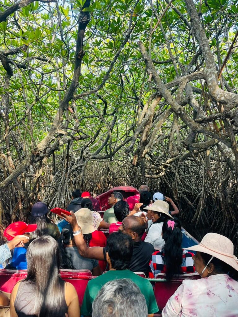 Cinnamon Island Madu River
