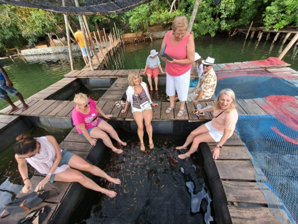 Fish therapy experience