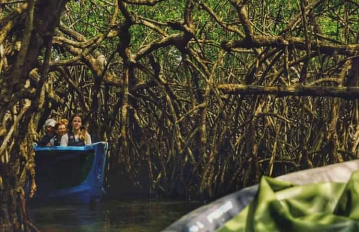 Best Time to Visit Madu River