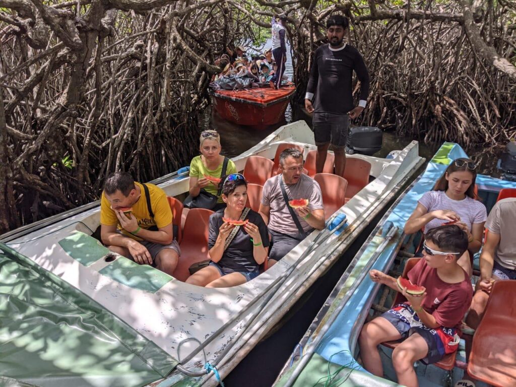 Madu River Safari & Bentota Day Tour