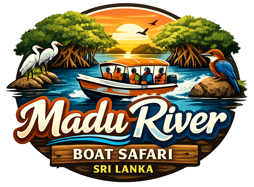 Madu River Boat Safari Sri Lanka