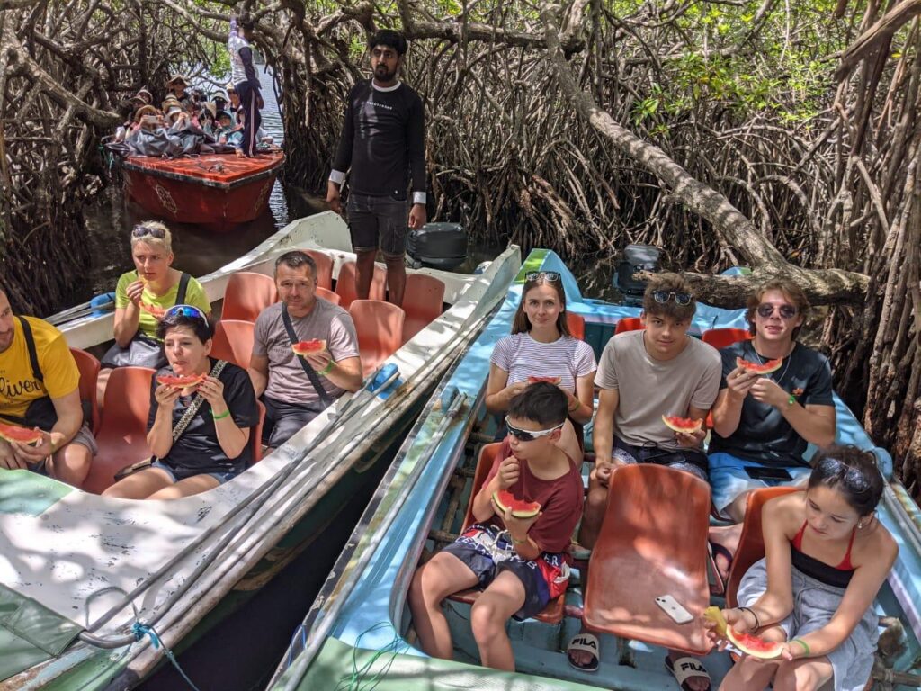 Madu River Boat Safari Booking