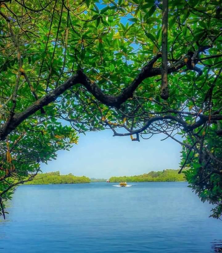 Madu River Boat Safari Sri Lanka